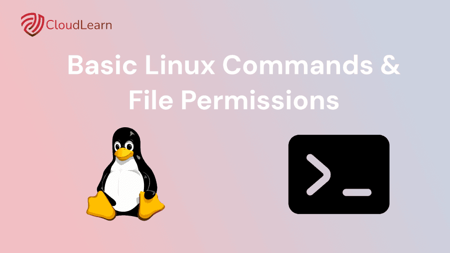 Essential Linux Commands Every Cloud Beginner Must Know